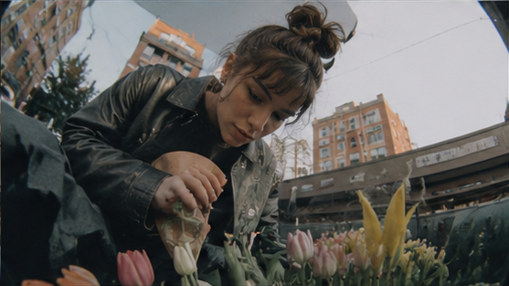 A person chooses flowers at an outdoor market